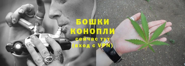 трава Белокуриха