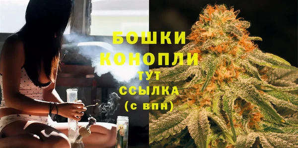трава Белокуриха