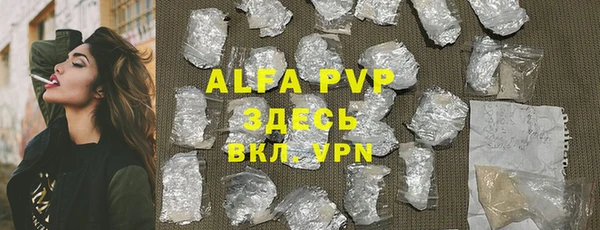 трава Белокуриха