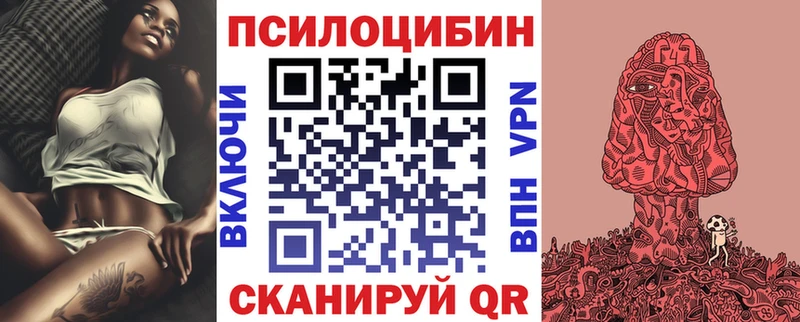 Галлюциногенные грибы Psilocybe  Горячий Ключ 