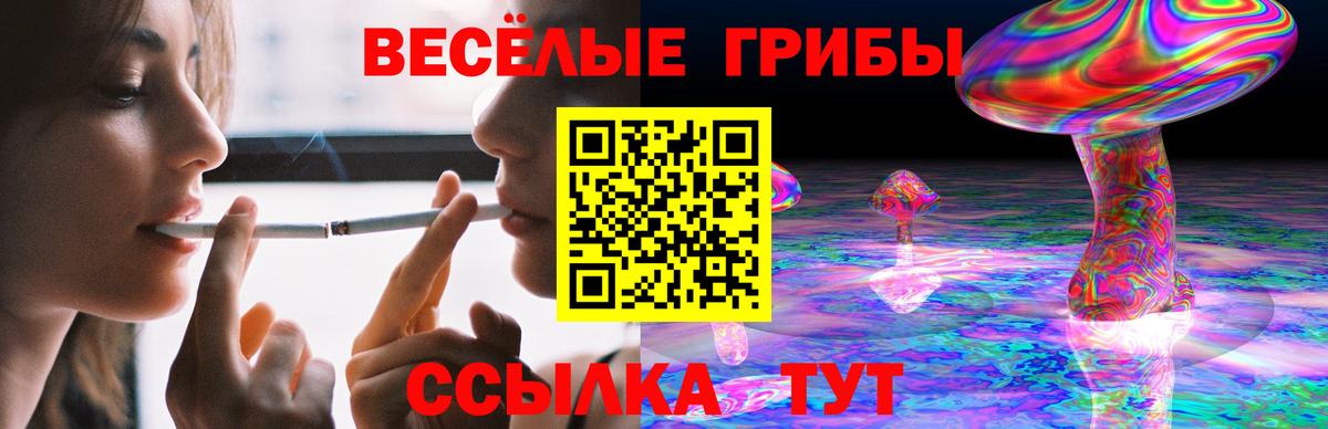 Галлюциногенные грибы GOLDEN TEACHER Горячий Ключ